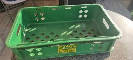 Photo of free Plastic Bread Tray (Dorking RH4) #1