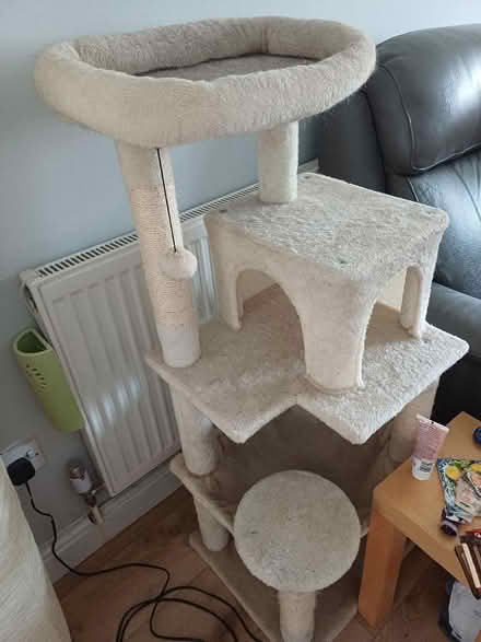 Photo of free Cat towers (Brookside TF3) #2