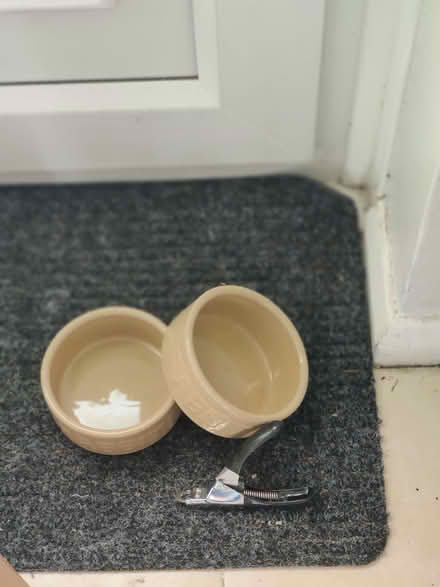 Photo of free Rabbit or small pet feeding bowls. (Ramsgate CT12) #1
