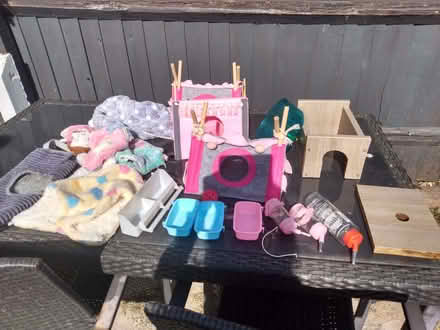 Photo of free Rat, chinchilla, bird, small animal cage (Upper Stoke CV2) #2