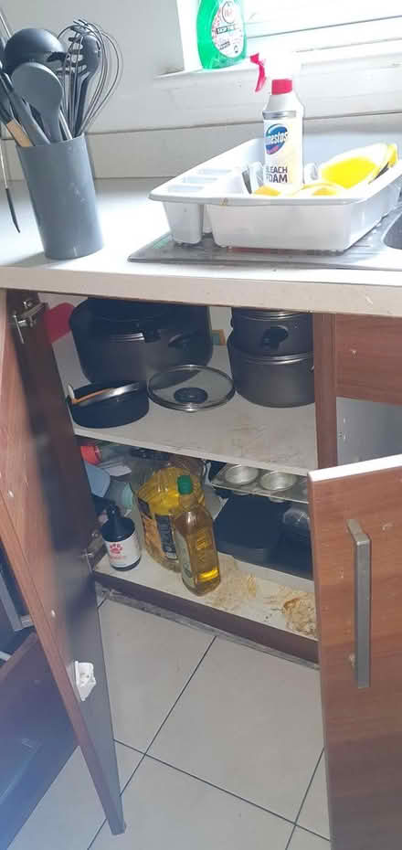 Photo of free Assorted kitchen utensils and items (G33 Near Glasgow Fort) #3