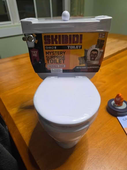 Photo of free Skibidi (Bridgewater) #1