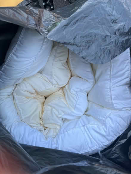 Photo of free Queen pillow topper (South Laurel) #1