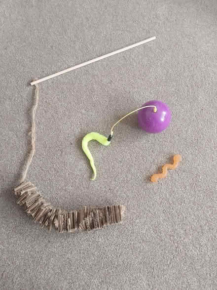 Photo of free Cat toys (DA8 Erith) #1