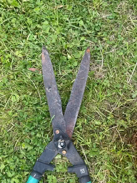 Photo of free Telescopic garden shears (LL19) #4