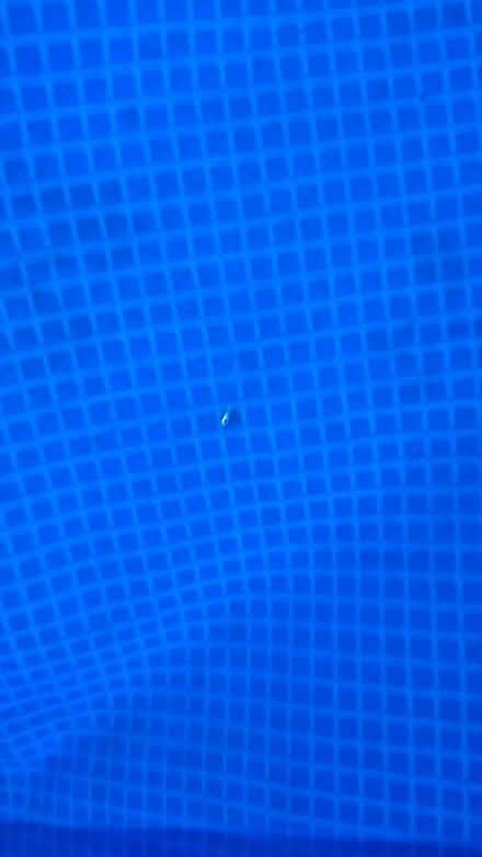 Photo of free Swimming pool (L35) #4