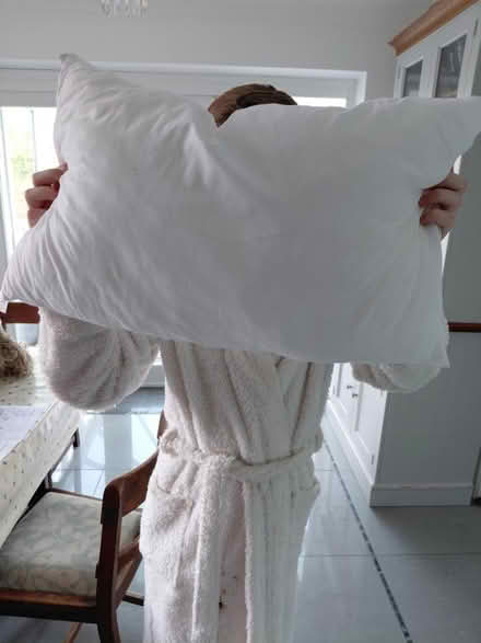 Photo of free Toddler cot duvet and pillow (Dorking) #2