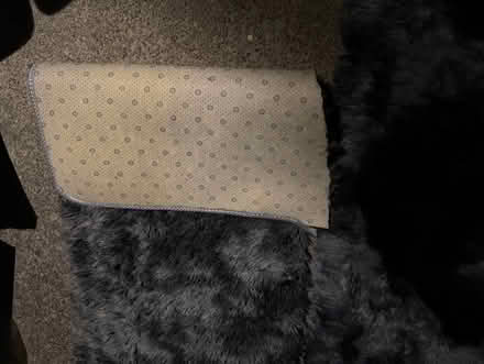 Photo of free Lightweight shaggy rug pieces (1075 Valencia Avenue) #3