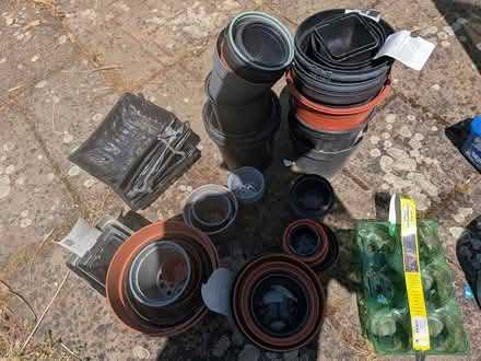 Photo of free Various Plant Pots and Seeds Trays (Welwyn Village, AL6) #4