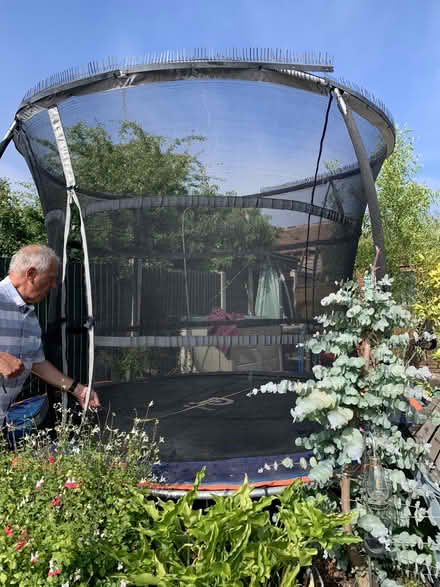 Photo of free Large Garden Trampoline 10ft Diameter (Herne Bay CT6) #2