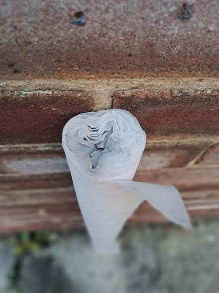 Photo of free Garden Frost Protection Cloth (Harefield SO19) #2