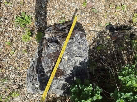 Photo of free 4 large boulders for rockery (Tewin) #4