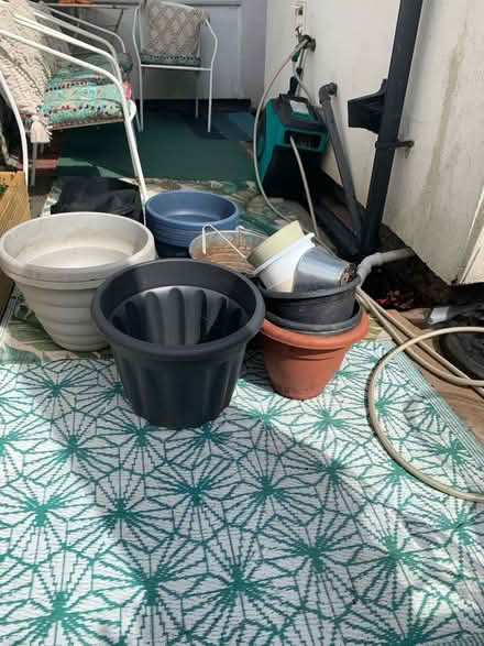 Photo of free Planters and Grow Bags (Egremont CH44) #4