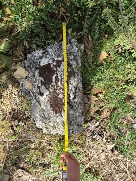 Photo of free 4 large boulders for rockery (Tewin) #1