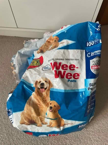 Photo of free Dogs’ WeeWee Pads (SW17) #1