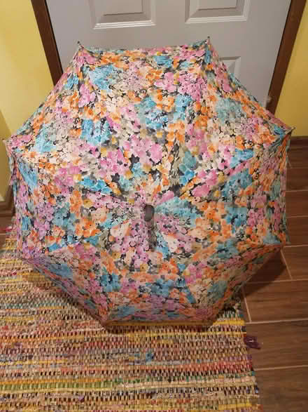 Photo of free Umbrella (NE Seattle/Ravenna/UD) #1