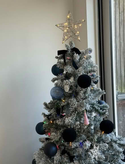 Photo of free Xmas Tree, Decor & Storage Bag (NW9) #1