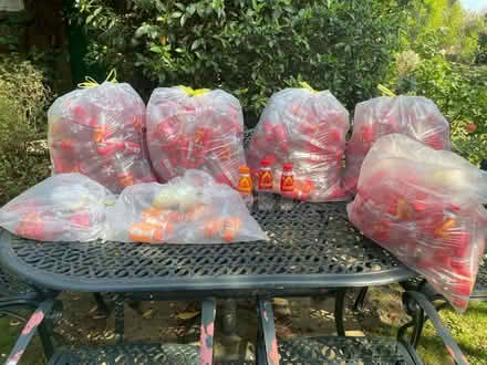 Photo of free Empty drink bottles (Thames Ditton. KT7) #1