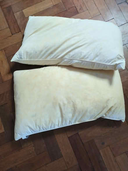 Photo of free Two old pillows (Humphrey's End GL5) #1