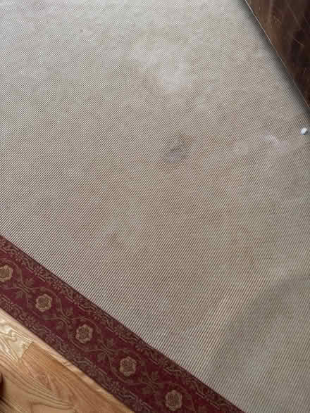 Photo of free Large rug (Bronxville) #3