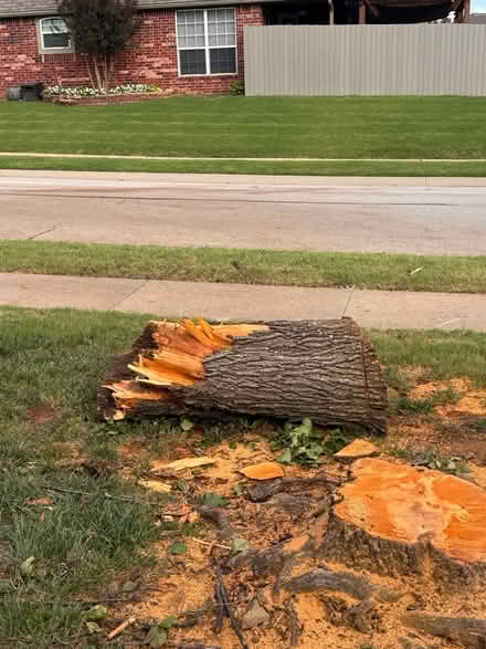 Photo of free potential firewood (New Bedford) #3