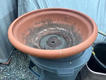 Photo of free terra cotta “color bowl” plant pot (Court Ln. Concord) #1