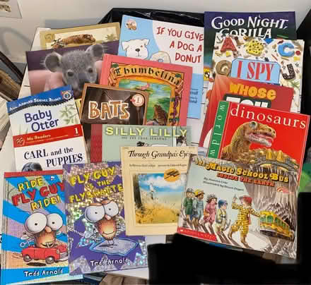Photo of free More Children’s books (Brookfield) #1