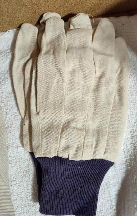 Photo of free 4-Pairs of Cotton Work Gloves (Saugus) #2