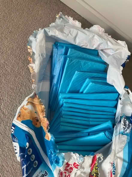 Photo of free Dogs’ WeeWee Pads (SW17) #2