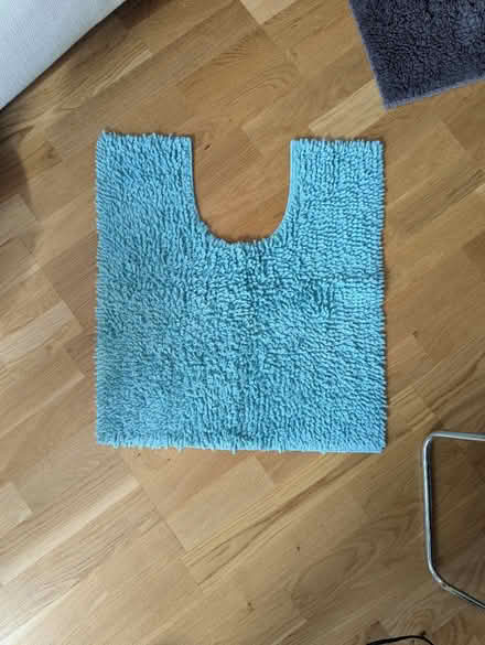 Photo of free Bathroom mat (West Norwood SE27) #1
