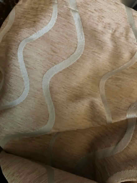 Photo of free Curtains (SE24) #3