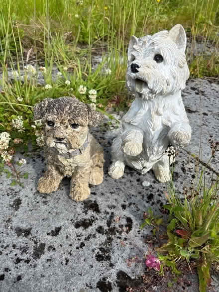Photo of free Dog garden ornaments (Hala LA1) #1