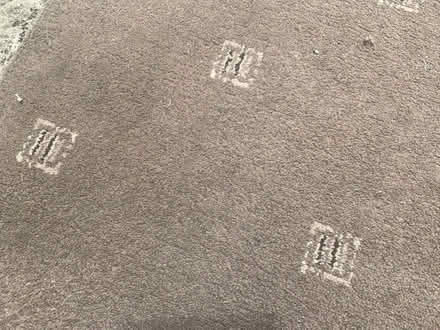 Photo of free L-shaped carpet light brown (Acomb Park YO24) #1
