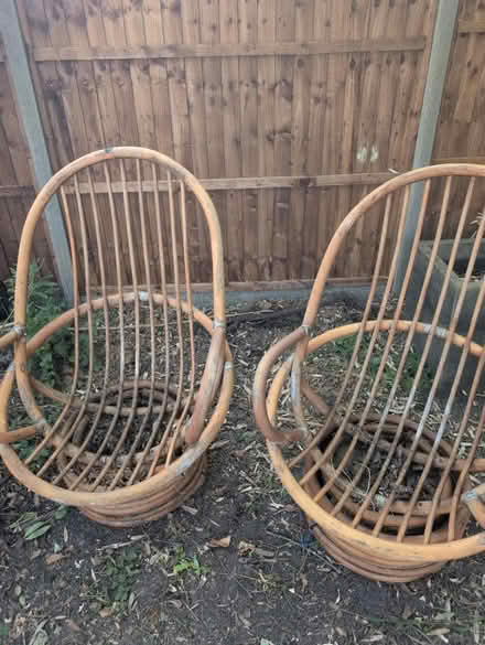 Photo of free 2 Bamboo Vintage chairs (NW11 Temple Fortune) #1