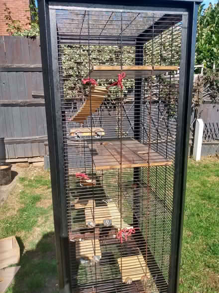 Photo of free Rat, chinchilla, bird, small animal cage (Upper Stoke CV2) #3