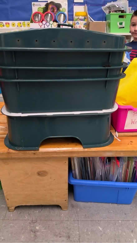 Photo of free Composting worms (Scarsdale/New Rochelle) #2