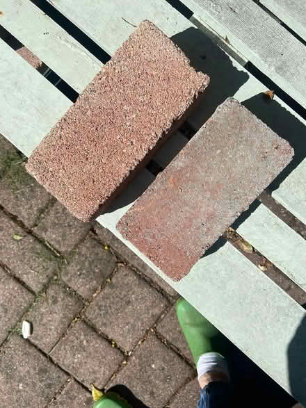 Photo of free Red bricks (A94K799) #1