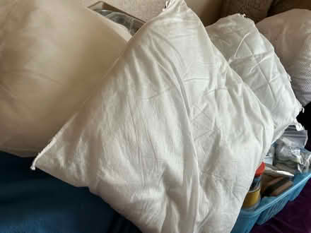 Photo of free Cushion pads (Liverpool 13 /Stoneycroft) #1