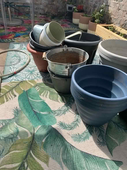 Photo of free Planters and Grow Bags (Egremont CH44) #2