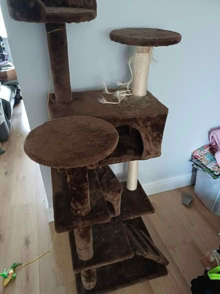 Photo of free Cat towers (Brookside TF3) #1