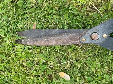 Photo of free Telescopic garden shears (LL19) #3