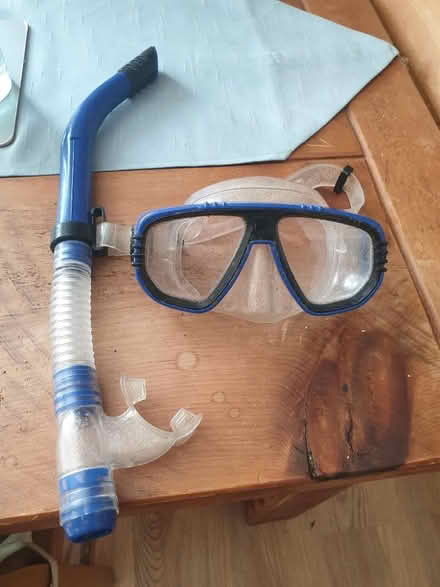 Photo of free Goggle and snorkle (Denton M34) #1