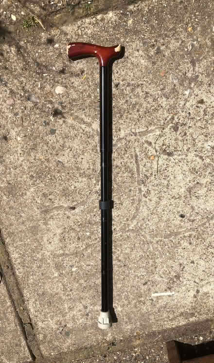 Photo of free Adjustable walking stick (Sprowston NR7) #1