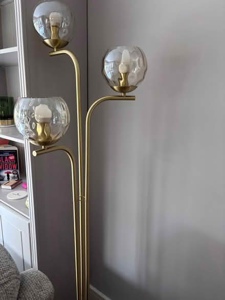 Photo of free Floor lamp (Churchtown) #1