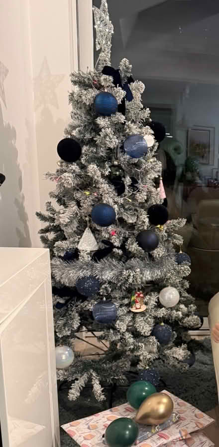 Photo of free Xmas Tree, Decor & Storage Bag (NW9) #2