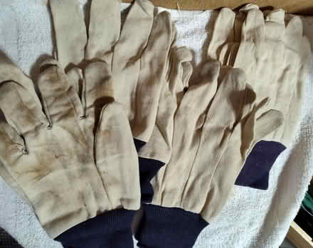 Photo of free 4-Pairs of Cotton Work Gloves (Saugus) #1