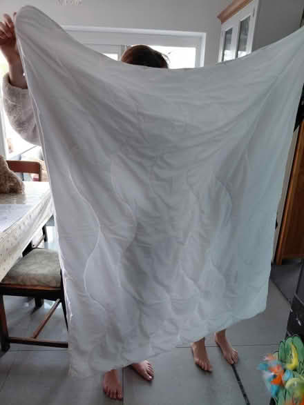 Photo of free Toddler cot duvet and pillow (Dorking) #4