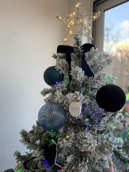 Photo of free Xmas Tree, Decor & Storage Bag (NW9) #3