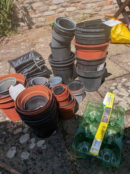 Photo of free Various Plant Pots and Seeds Trays (Welwyn Village, AL6) #2