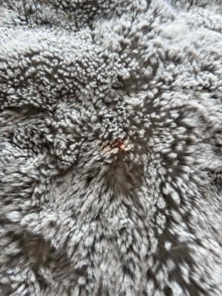 Photo of free Laura Ashley faux fur throw (KT13) #4